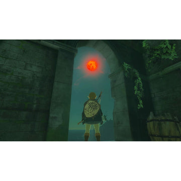 Video game for Switch Nintendo TLOZ TEA OFTKIN