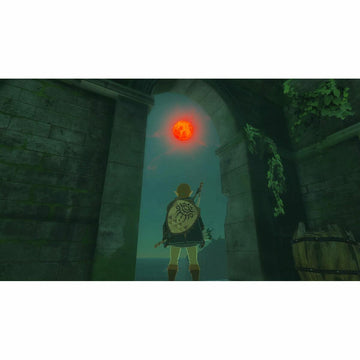 Video game for Switch Nintendo ZELDA: TEARS OF THE KINGDOM