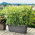 Pot Deroma Anthracite Recyclado Injecté 100 cm