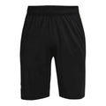 Herren-Sportshorts Under Armour Under Armour Raid 2.0 Schwarz