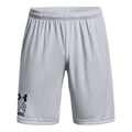 Herren-Sportshorts Under Armour Graphic Grau