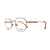 Monture de Lunettes Unisexe Carrera CARRERA-1117-G-DDB