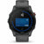 Smartwatch GARMIN Forerunner 255 Black Grey 1,3"