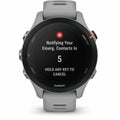 Smartwatch GARMIN Forerunner 255S Grey 1,1"