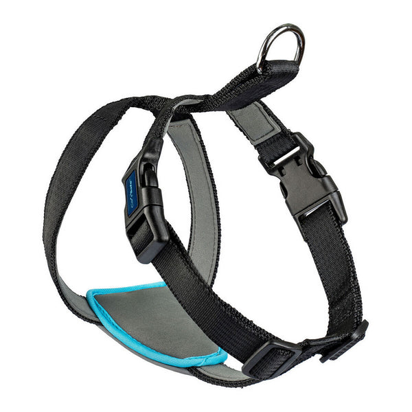 Dog Harness Company of Animals CarSafe Black XS