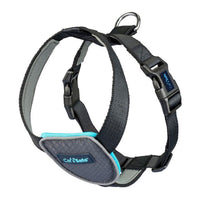 Dog Harness Company of Animals CarSafe Black Size M