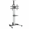 Trolley Startech STNDMTV70