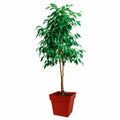 Plant pot EDA   Plastic 39 cm