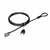 Cable with padlock Kensington K65020EU Black