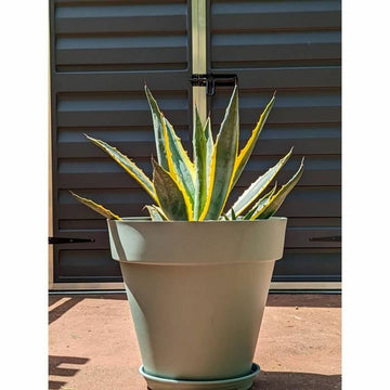 Plant pot Riviera Green Ø 50 cm
