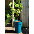 Plant pot Riss 53 cm Blue Plastic