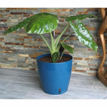 Plant pot Riss RIV3580796331061 Ø 30 cm