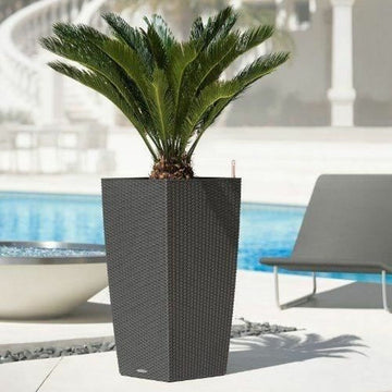 Plant pot Lechuza 40 x 40 x 76 cm Plastic Rectangular