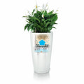 Plant pot Lechuza 40 x 40 x 76 cm Plastic