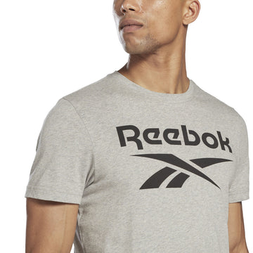 Men’s Short Sleeve T-Shirt Reebok BIG LOGO TEE HD4219 Grey