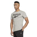 Men’s Short Sleeve T-Shirt Reebok BIG LOGO TEE HD4219 Grey