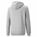 Sweat à capuche homme Puma  Ess+ 2 Col Small Log  Gris