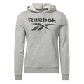 Men’s Hoodie Reebok FT BIG LOGO OTH HZ8786  Grey