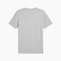 Herren Kurzarm-T-Shirt Puma The Hooper 3 Hellgrau