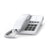 Téléphone fixe Gigaset S30054-H6538-R102