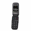 Mobilni Telefon Panasonic KX-TU446EXG 2,4" Modra Siva