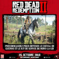 PlayStation 4 Video Game Sony Red Dead Redemption 2