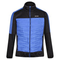 Men's Sports Jacket Regatta Clumber II Hybrid Insulated Black Blue