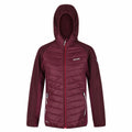 Veste de Sport pour Femme Regatta Andreson VI Hybrid Rouge foncé