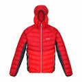 Men's Sports Jacket Regatta Harrock Red