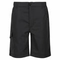 Sport Shorts for Kids Regatta Sorcers II Seal  Moutain