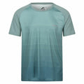 Herren Kurzarm-T-Shirt Regatta Pinmor Aquamarin