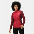 Veste de Sport pour Femme Regatta Clumber Hybrid IV Rouge