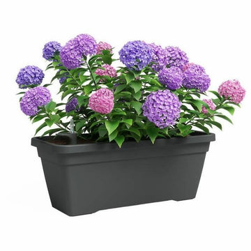 Plant pot Artevasi Anthracite 24,3 x 22 cm Plastic Rectangular