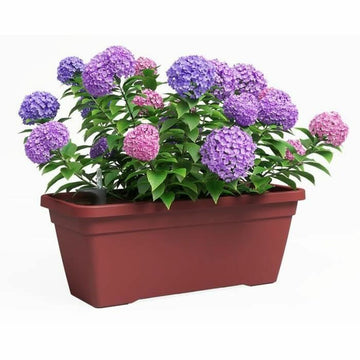 Plant pot Artevasi Red 57,9 x 24,3 x 22 cm