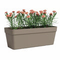 Blumentopf Artevasi Taupe 49,9 x 20 x 18,1 cm