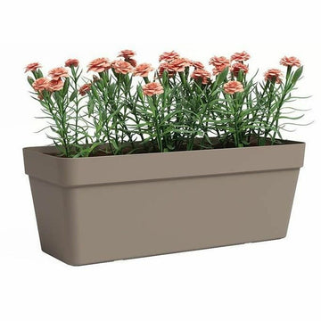 Blumentopf Artevasi Taupe 49,9 x 20 x 18,1 cm