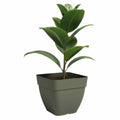 Plant pot Artevasi 36,5 x 36,5 x 33,5 cm Green
