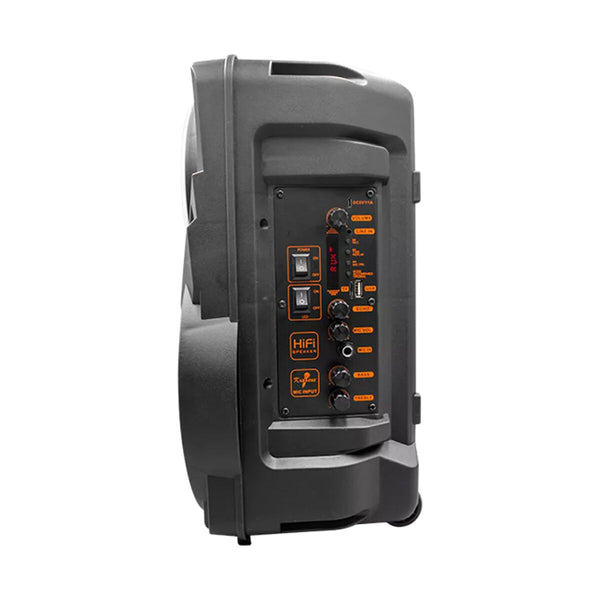 Tragbare Bluetooth-Lautsprecher Denver Electronics TSP-301 Schwarz 12 W