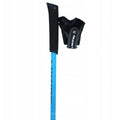 Trekking Stick Viking Pro-Trainer Blue Black 115 cm (2 Units)