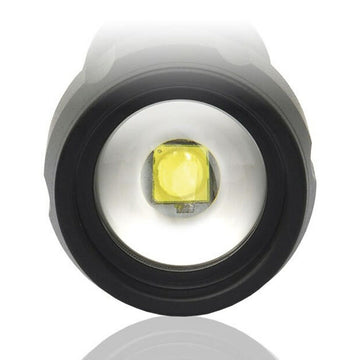 Taschenlampe EverActive FL300+ 350 lm