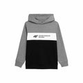 Kinder-Sweatshirt 4F JBLM003  Grau