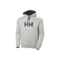 Herren Sweater mit Kapuze HH LOGO Helly Hansen 33977 949 Grau