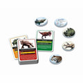 Educational Game Clementoni Dinosaures et préhistoire (FR)