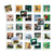 V9HA85C7E043BD2BD3E4E8FA24E512A109CR5266455P3
