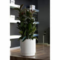 Self-watering flowerpot Plastiken   White Ø 48 cm