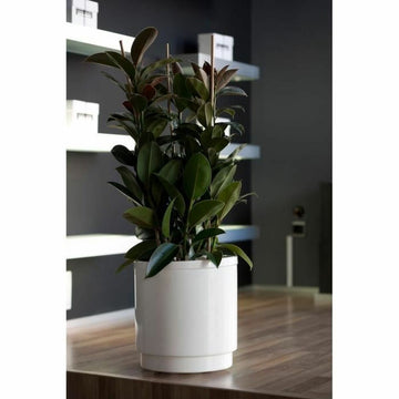 Pot auto-arrosant Plastiken   Blanc Ø 48 cm