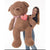 Teddy Bear Old 135 cm