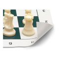 Chess Cayro 935958 Plastic (50 x 50 cm)