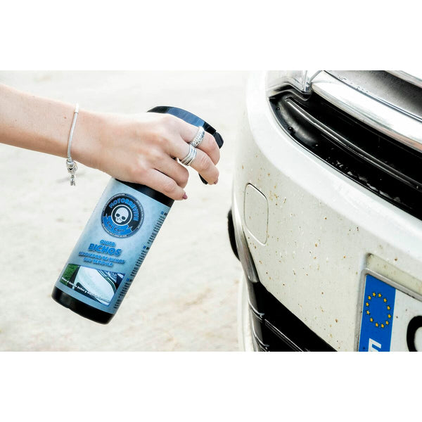 Insect cleaner Motorrevive MRV0010 500 ml