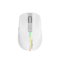 Pointer CoolBox Right hand